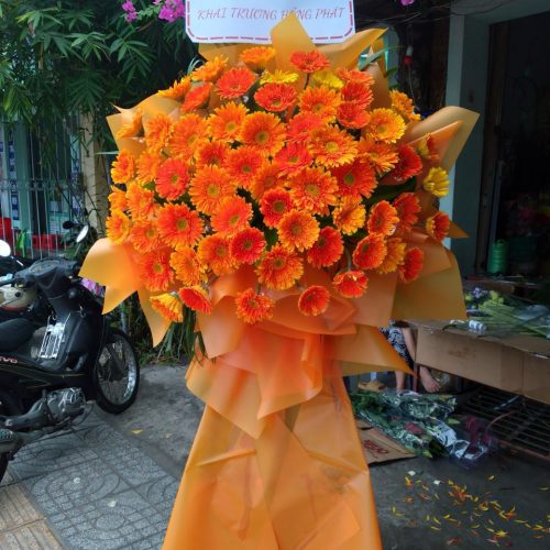 Hoa Khai Trương #Lộc Phát 06