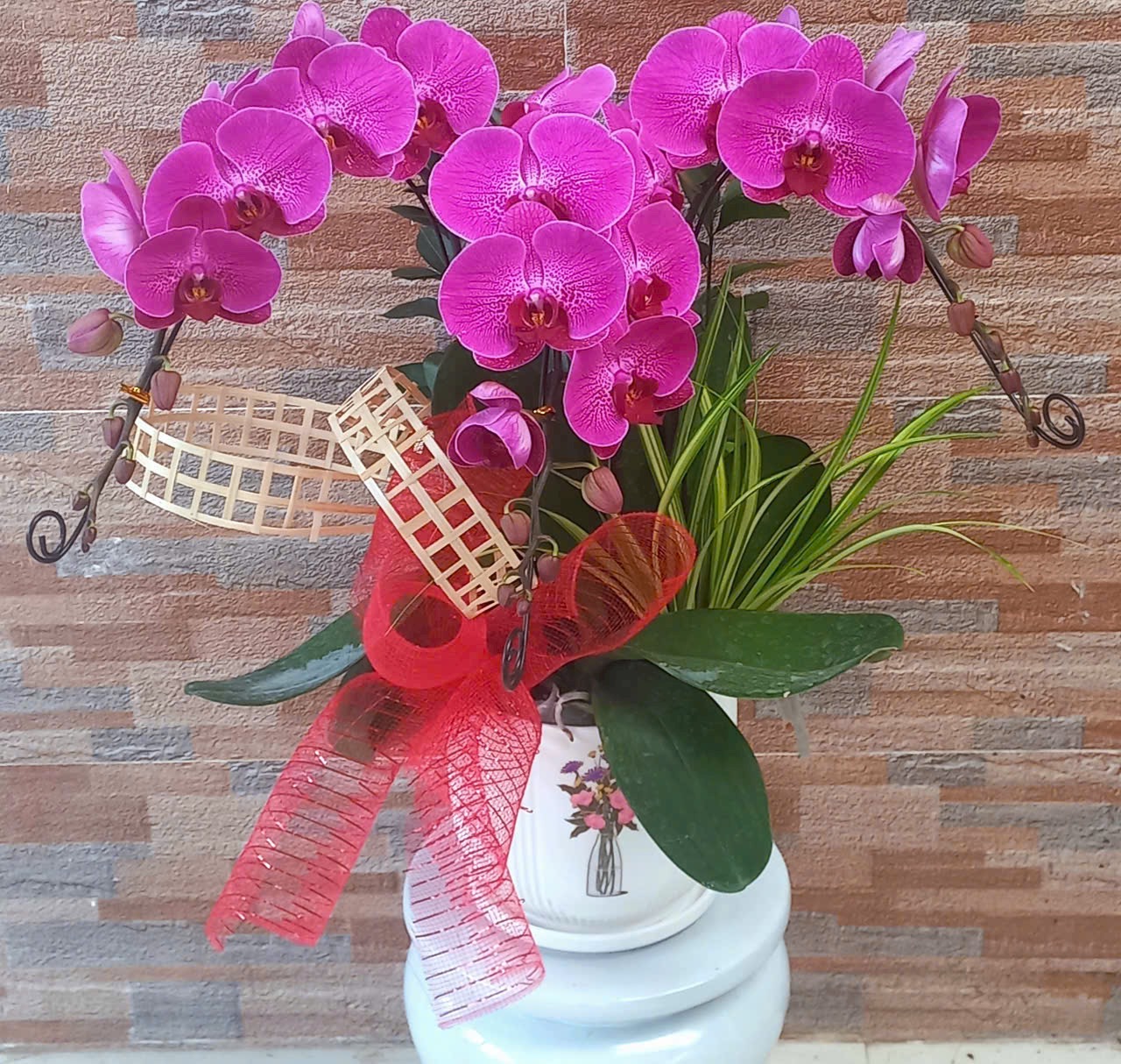 Shop hoa lan hồ điệp tại Phú Mỹ