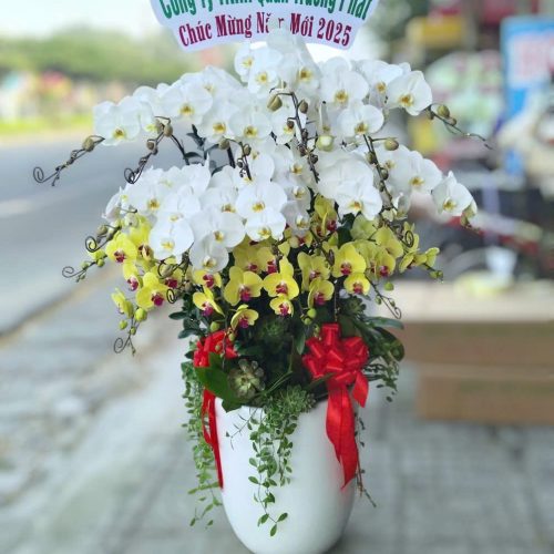 Shop hoa lan hồ điệp tại Phú Mỹ